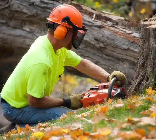 tree services Elk River